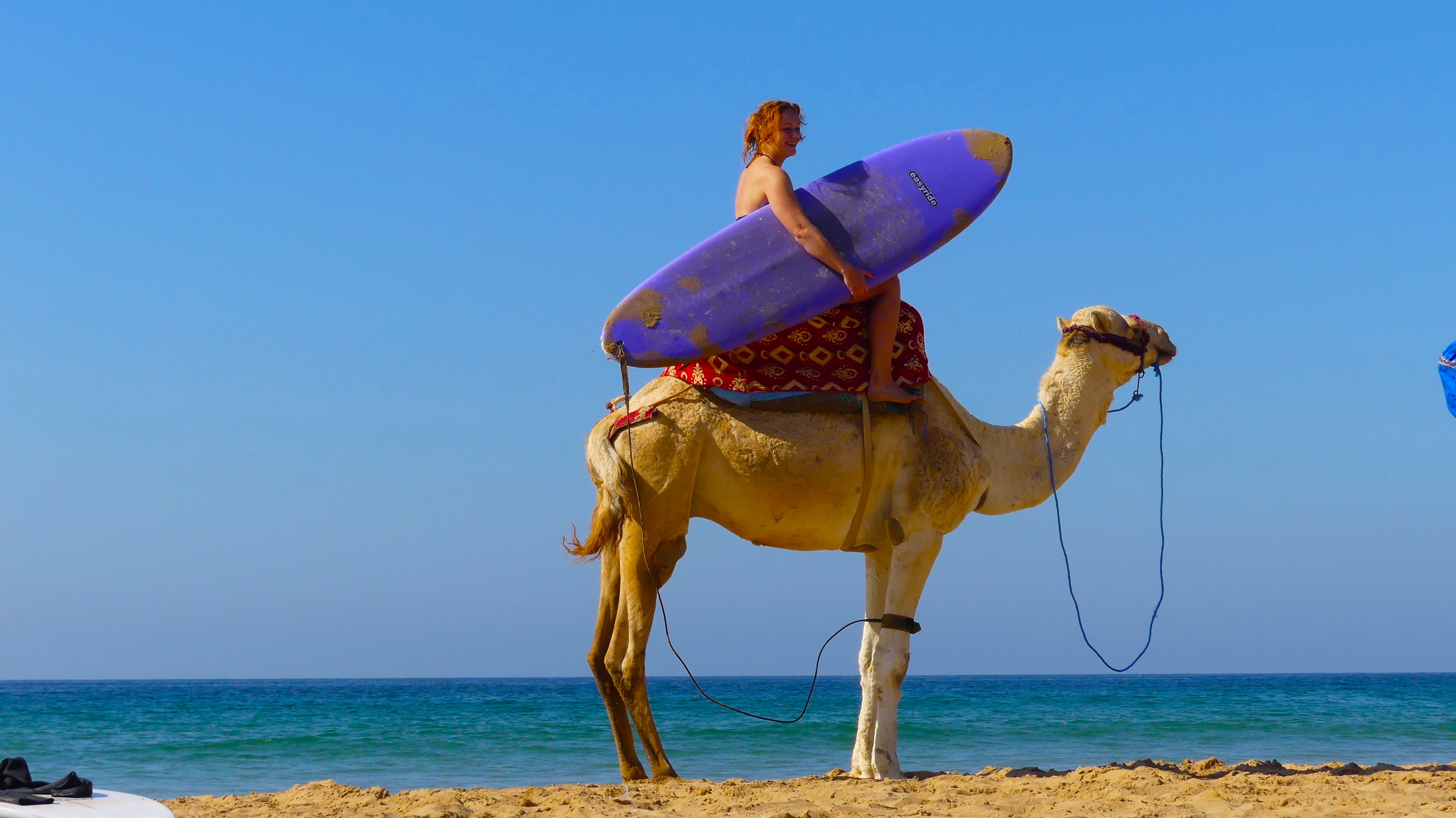 surf safari marocco